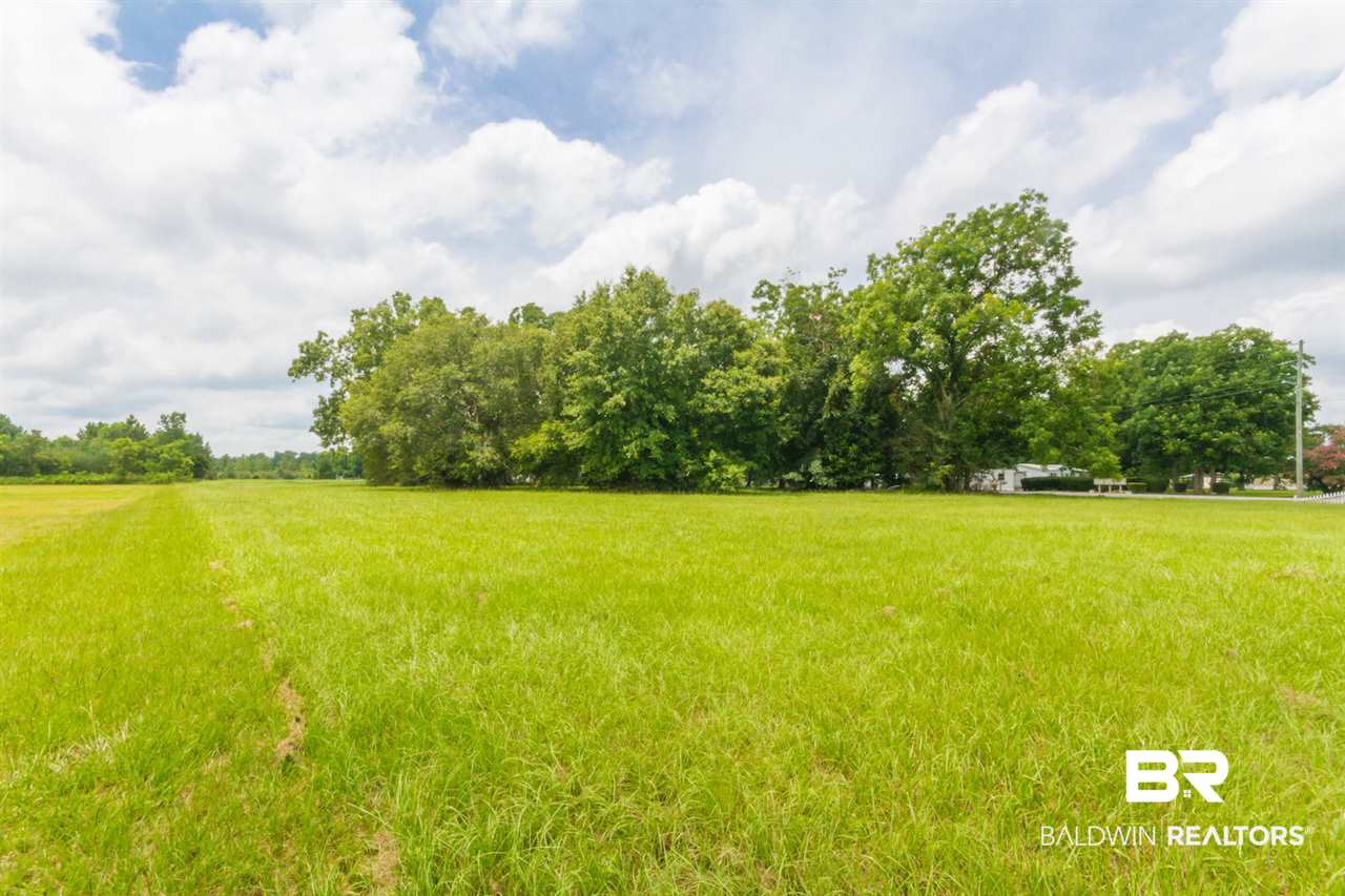 0 US Highway 98 Elberta, AL 36530 - Photo 3 of 13