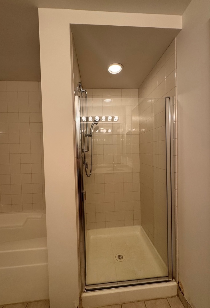1250 South Indiana Avenue, Unit 702 Chicago, IL 60605 - Photo 7 of 22 a bathroom with a glass shower door