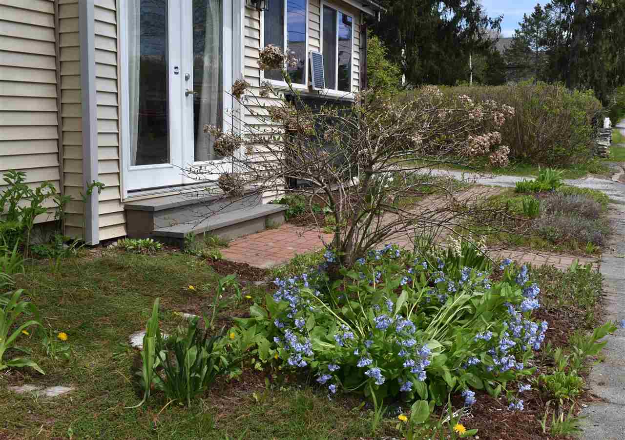126 Pearl Street Rutland, VT 05701 - Photo 40 of 40