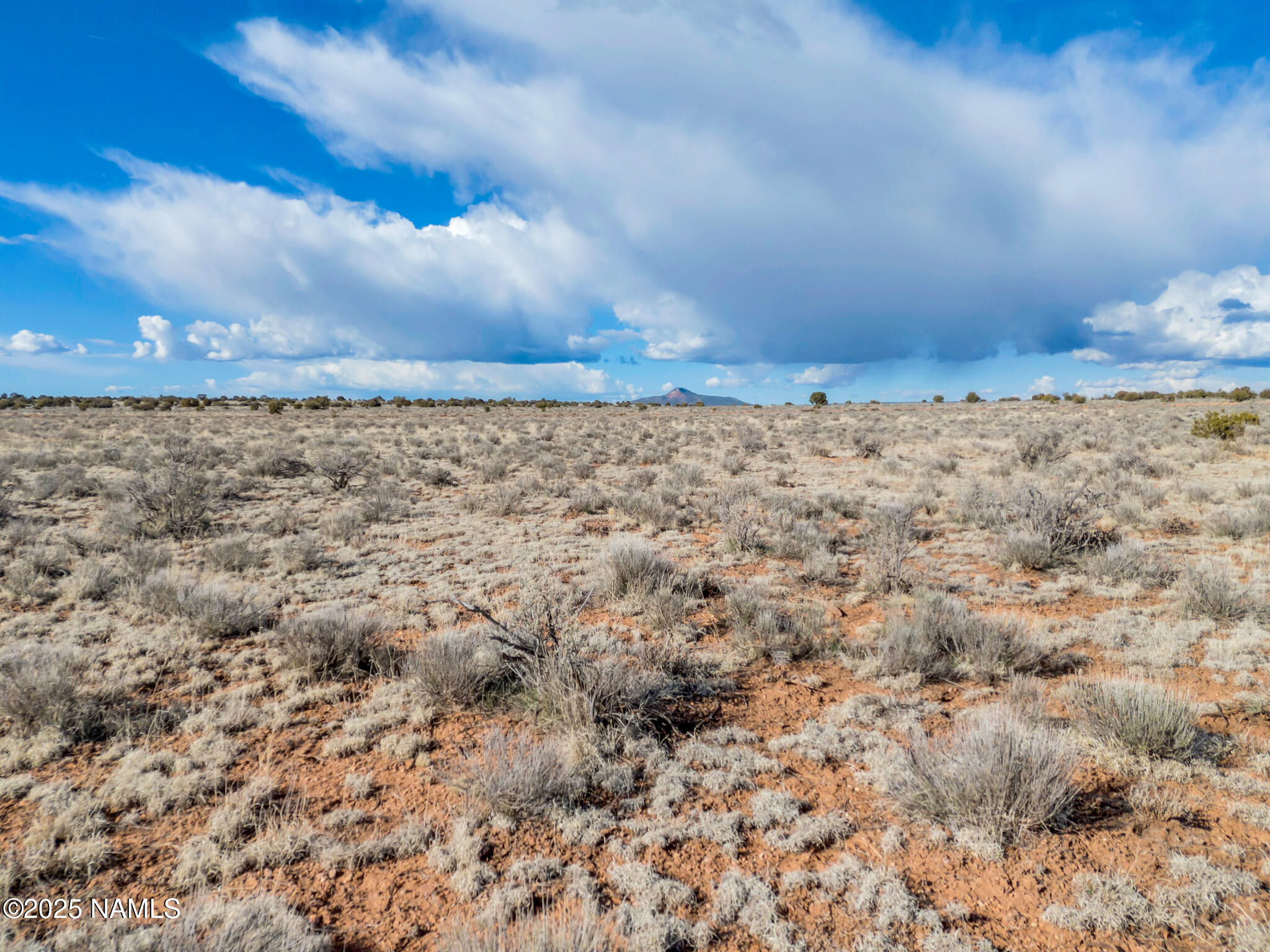 1462 Red Butte Road Williams, AZ 86046 - Photo 12 of 21 12
