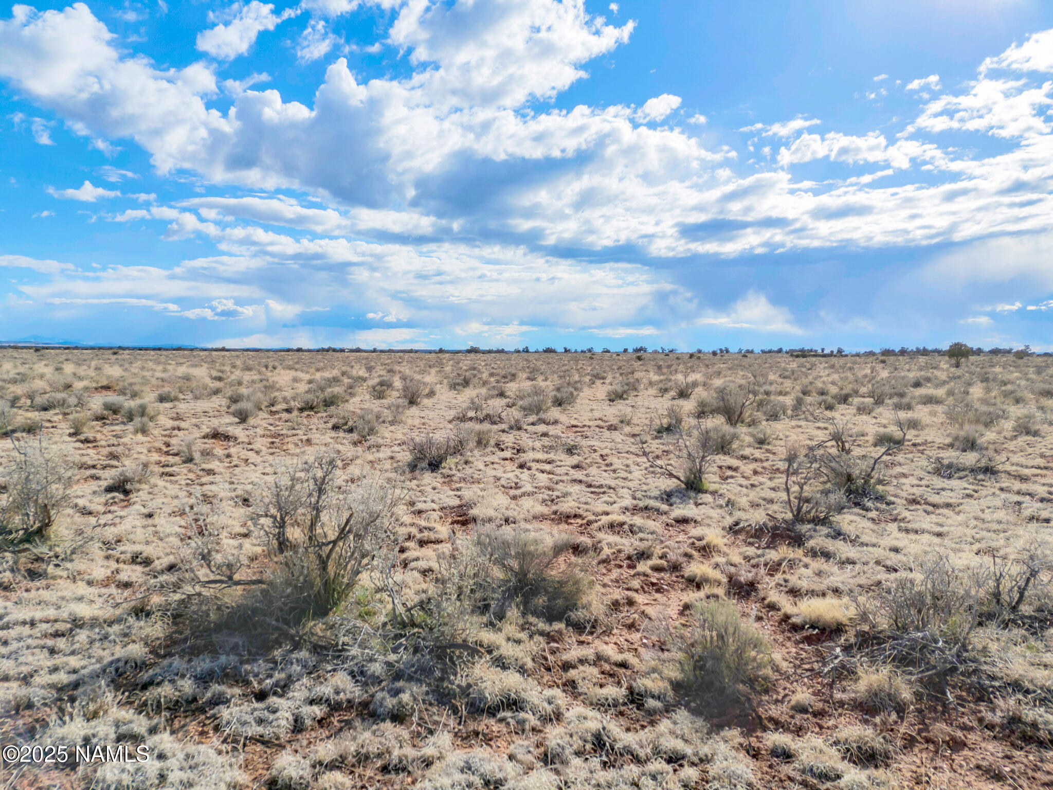 1462 Red Butte Road Williams, AZ 86046 - Photo 13 of 21 13