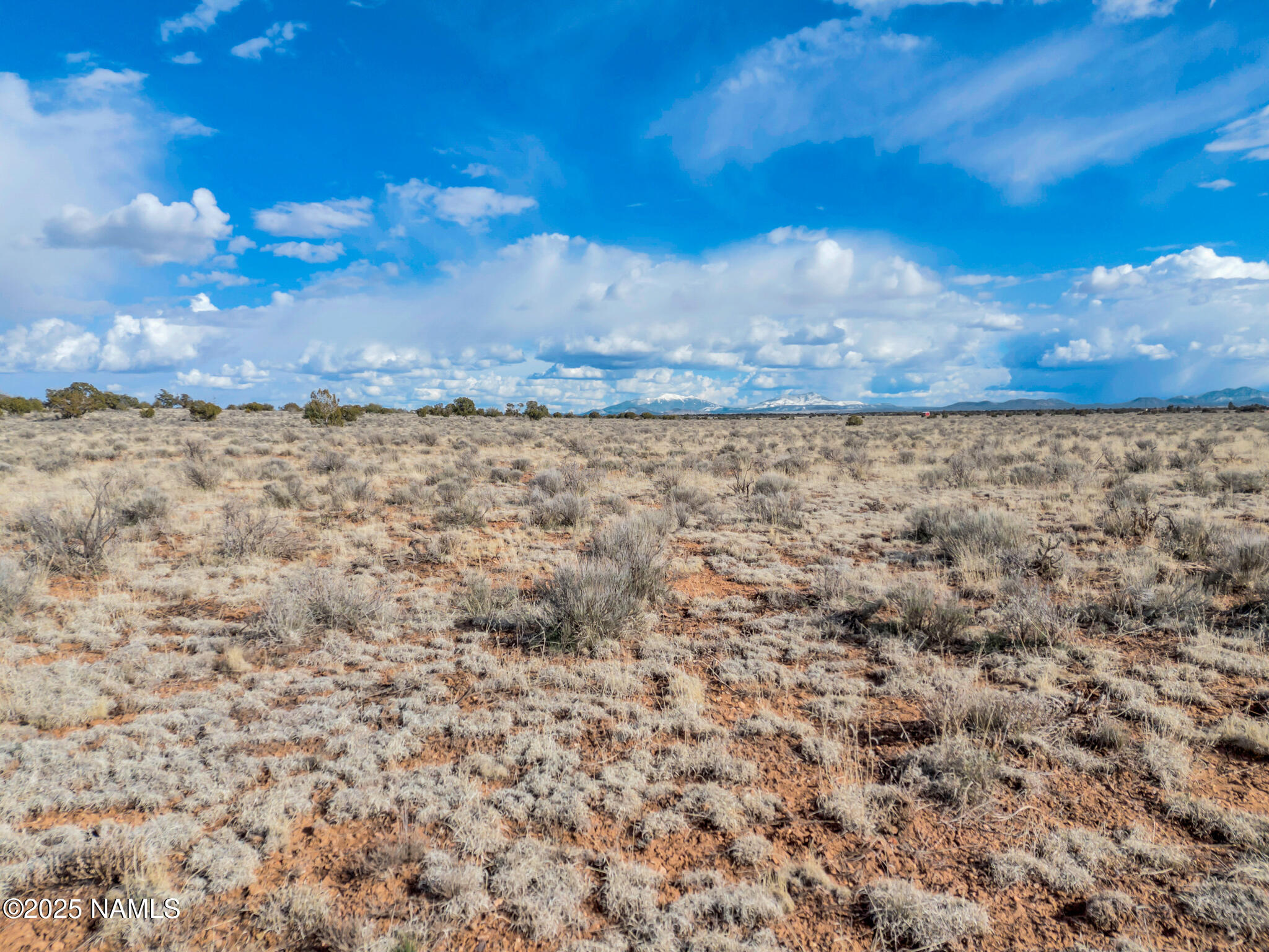 1462 Red Butte Road Williams, AZ 86046 - Photo 14 of 21 14