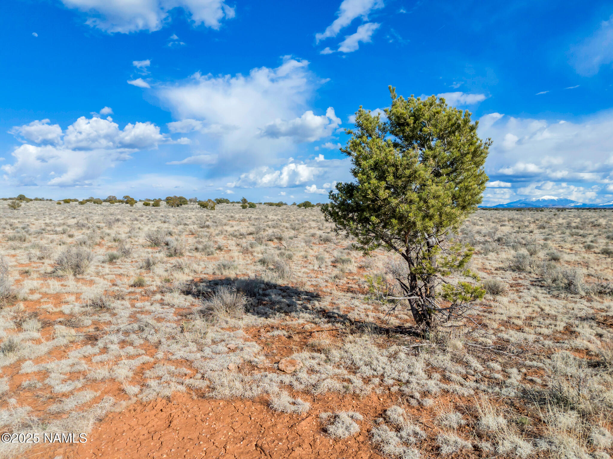 1462 Red Butte Road Williams, AZ 86046 - Photo 18 of 21 18