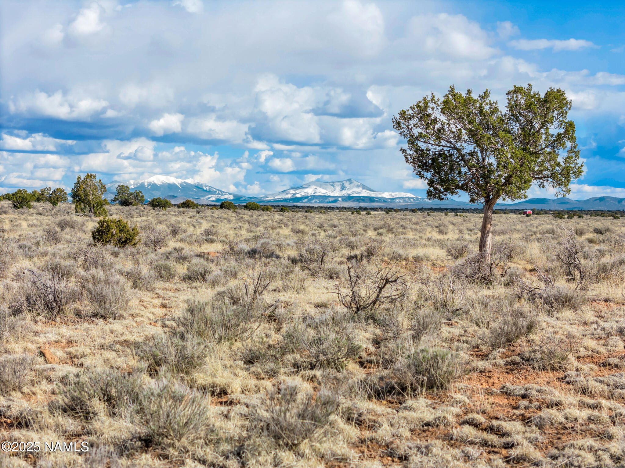 1462 Red Butte Road Williams, AZ 86046 - Photo 8 of 21 8