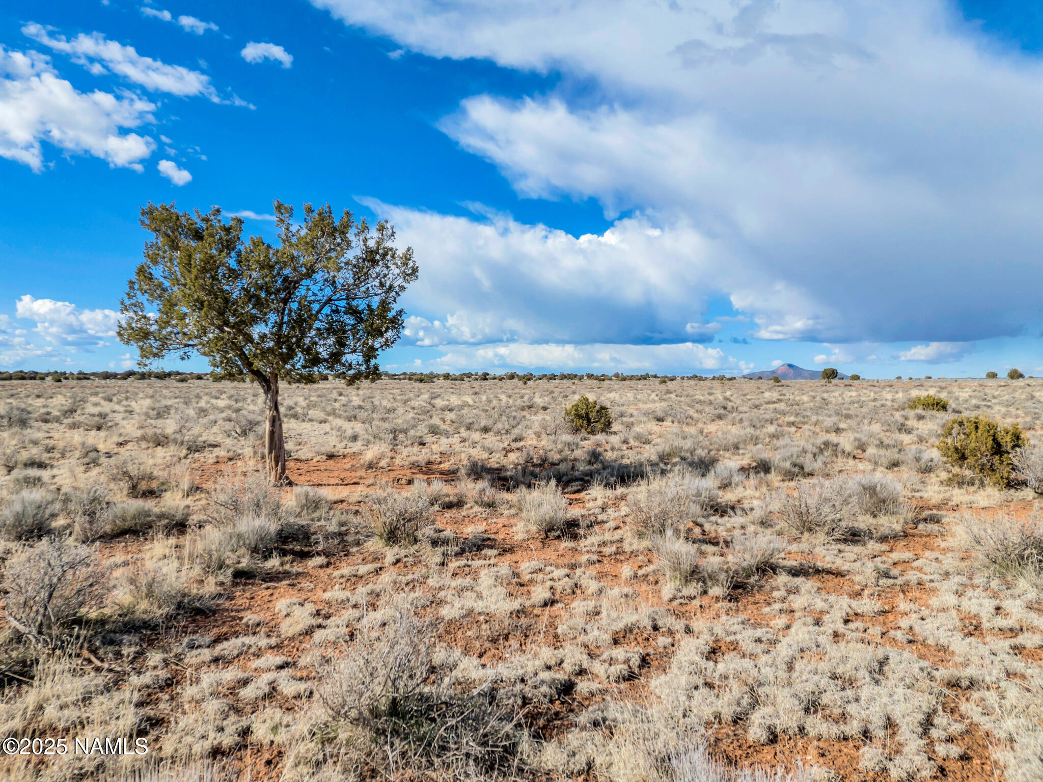 1462 Red Butte Road Williams, AZ 86046 - Photo 9 of 21 9