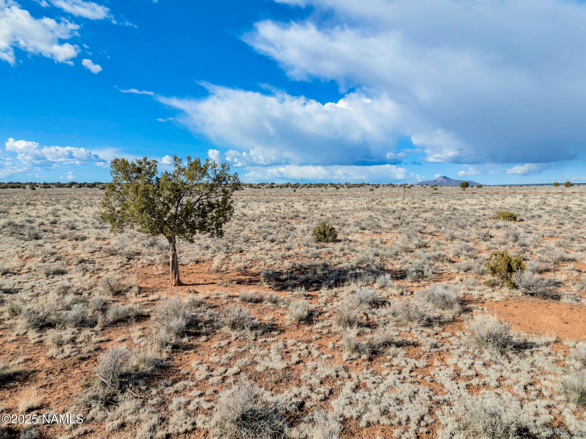 1462 Red Butte Road Williams, AZ 86046 - Photo 10 of 21 10