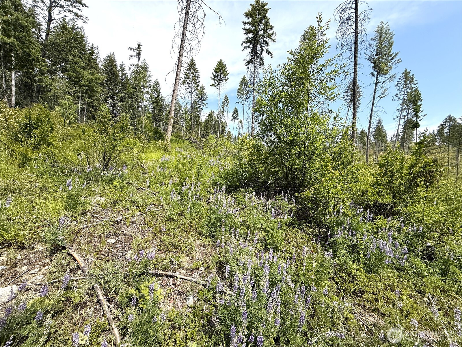 2 Rockabye Lane Curlew, WA 99118 - Photo 5 of 8
