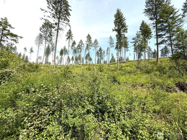 $65,000 | 2 Rockabye Lane, Curlew, WA 99118