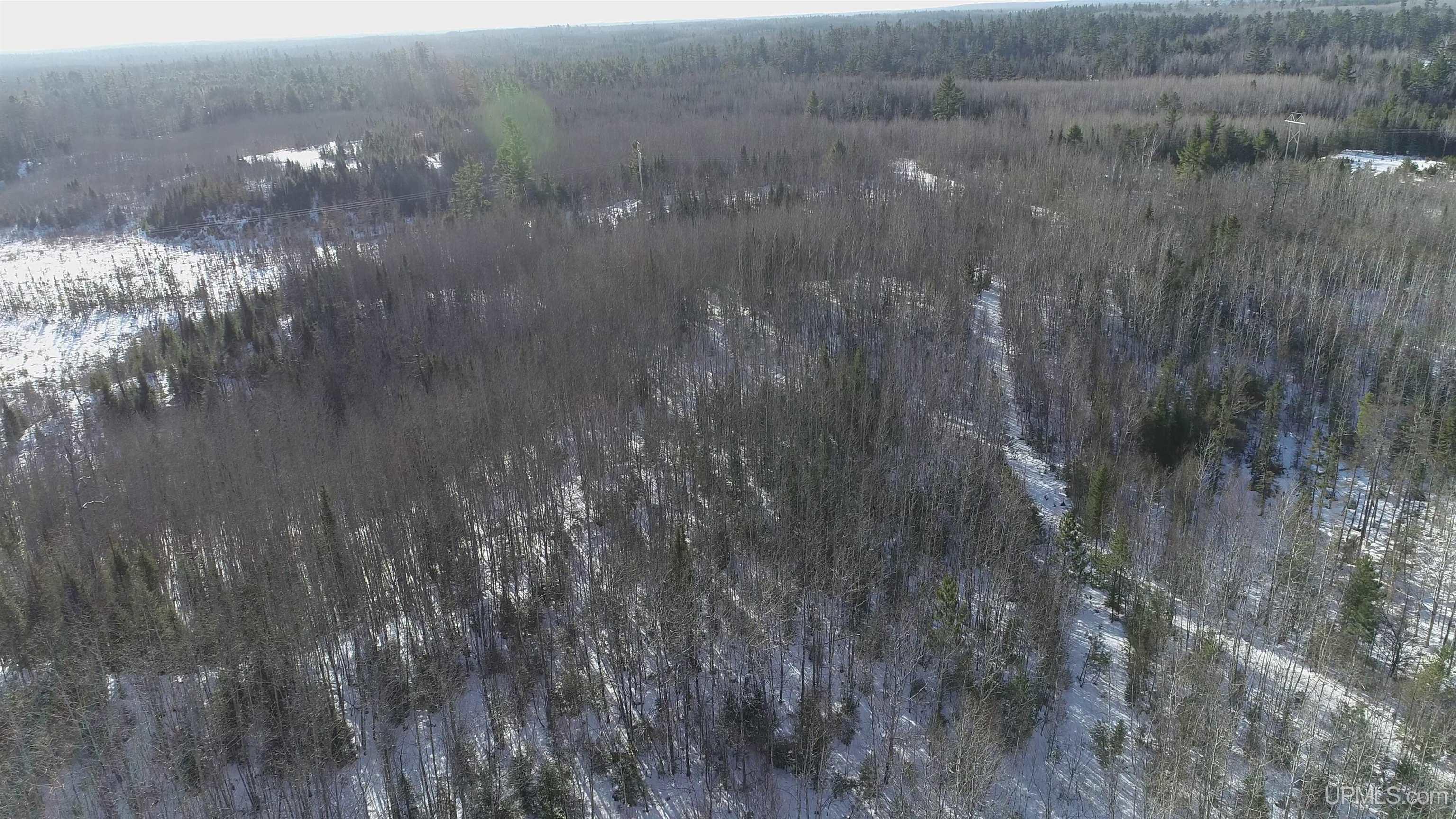 20-acres Co Rd 20-acres Co Road Champion, MI 49814 - Photo 10 of 34