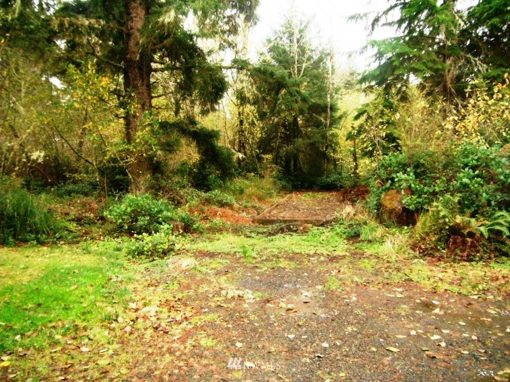 19910 Sandridge Road Long Beach, WA 98631 - Photo 21 of 21 Gallery Image 21