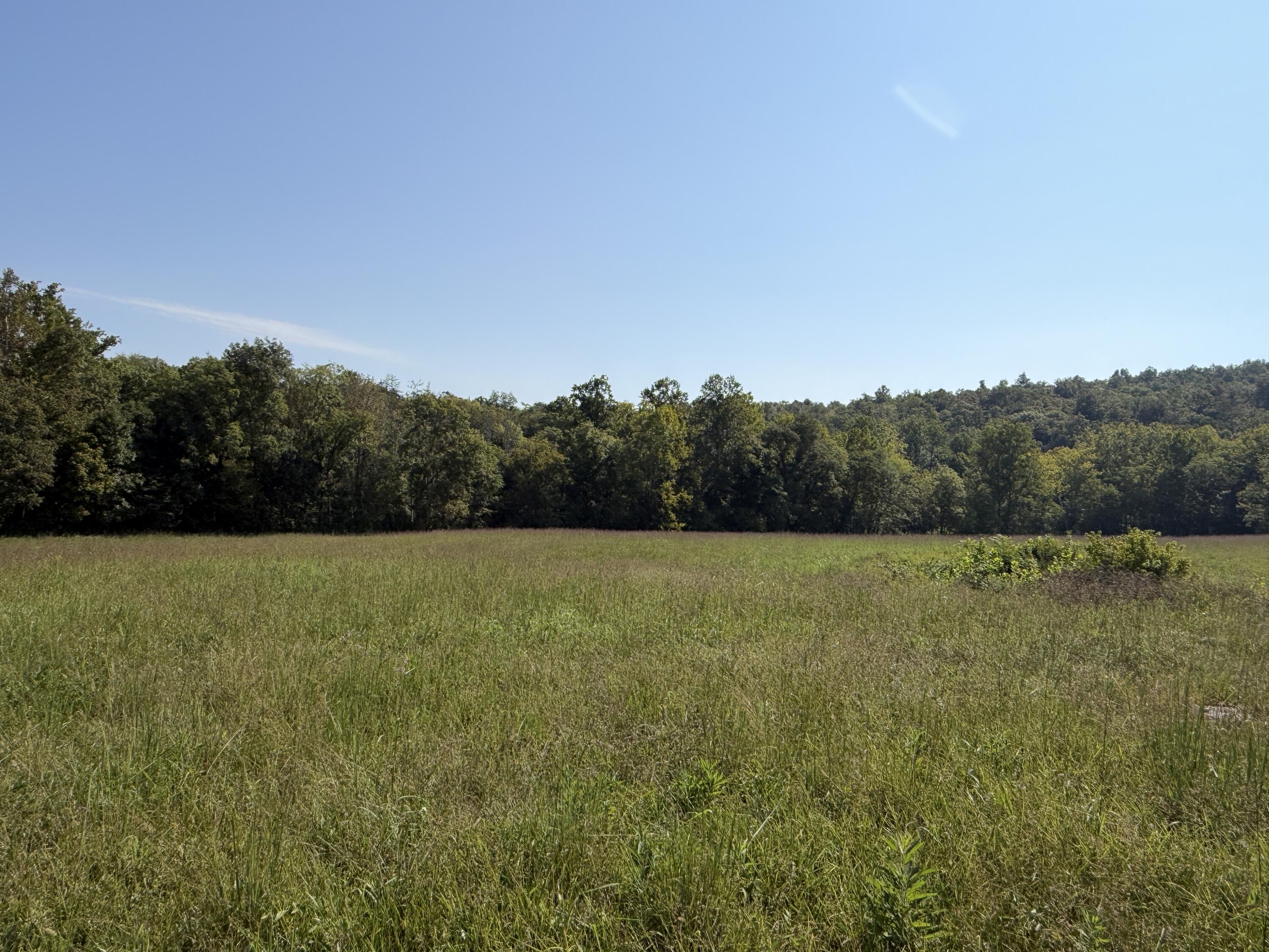 0 Phillips Hollow Road Monticello, KY 42633 - Photo 19 of 21 IMG_0616