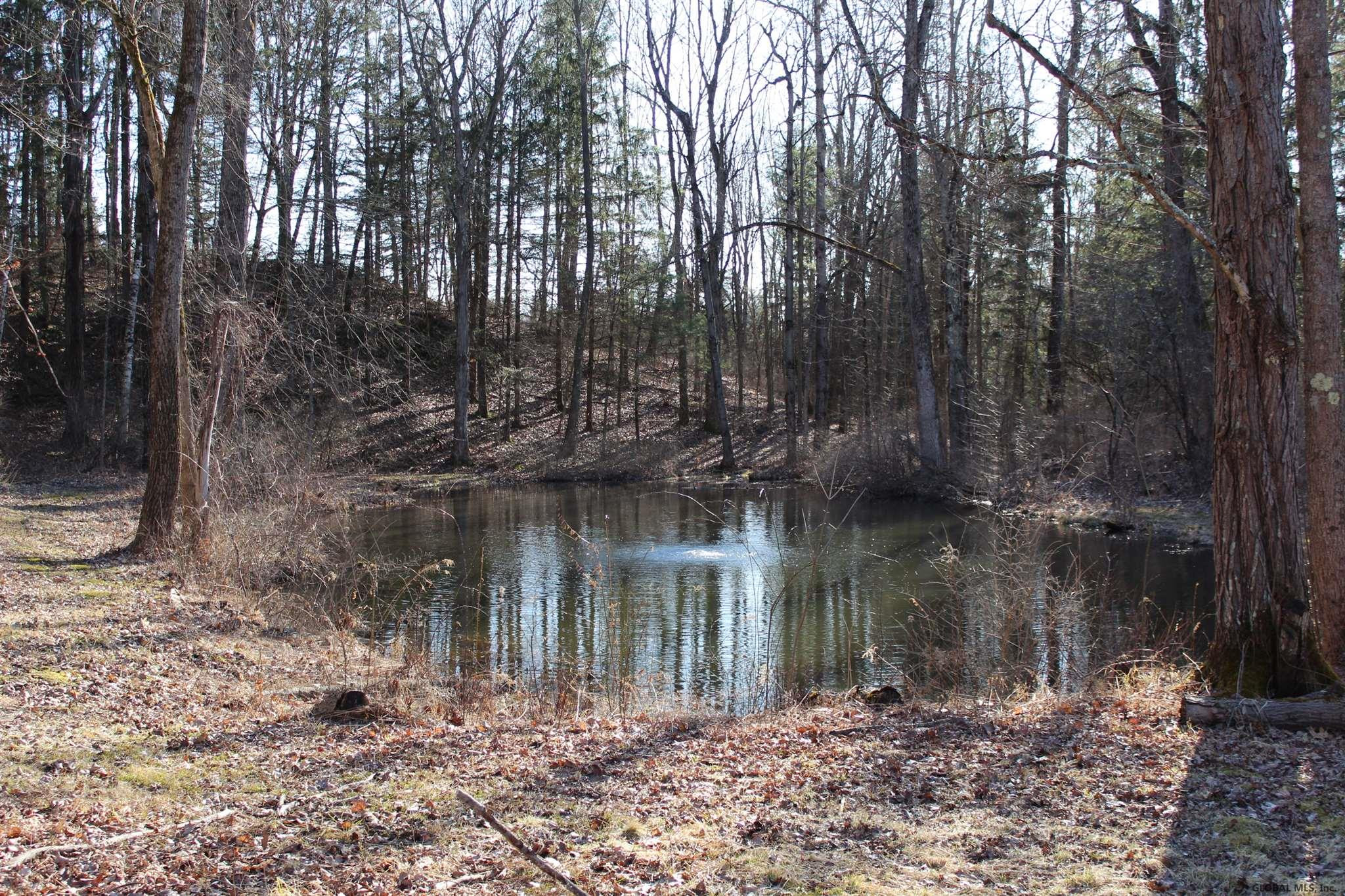 191 Stover Road Pittstown, NY 12185 - Photo 3 of 55 Photo 3