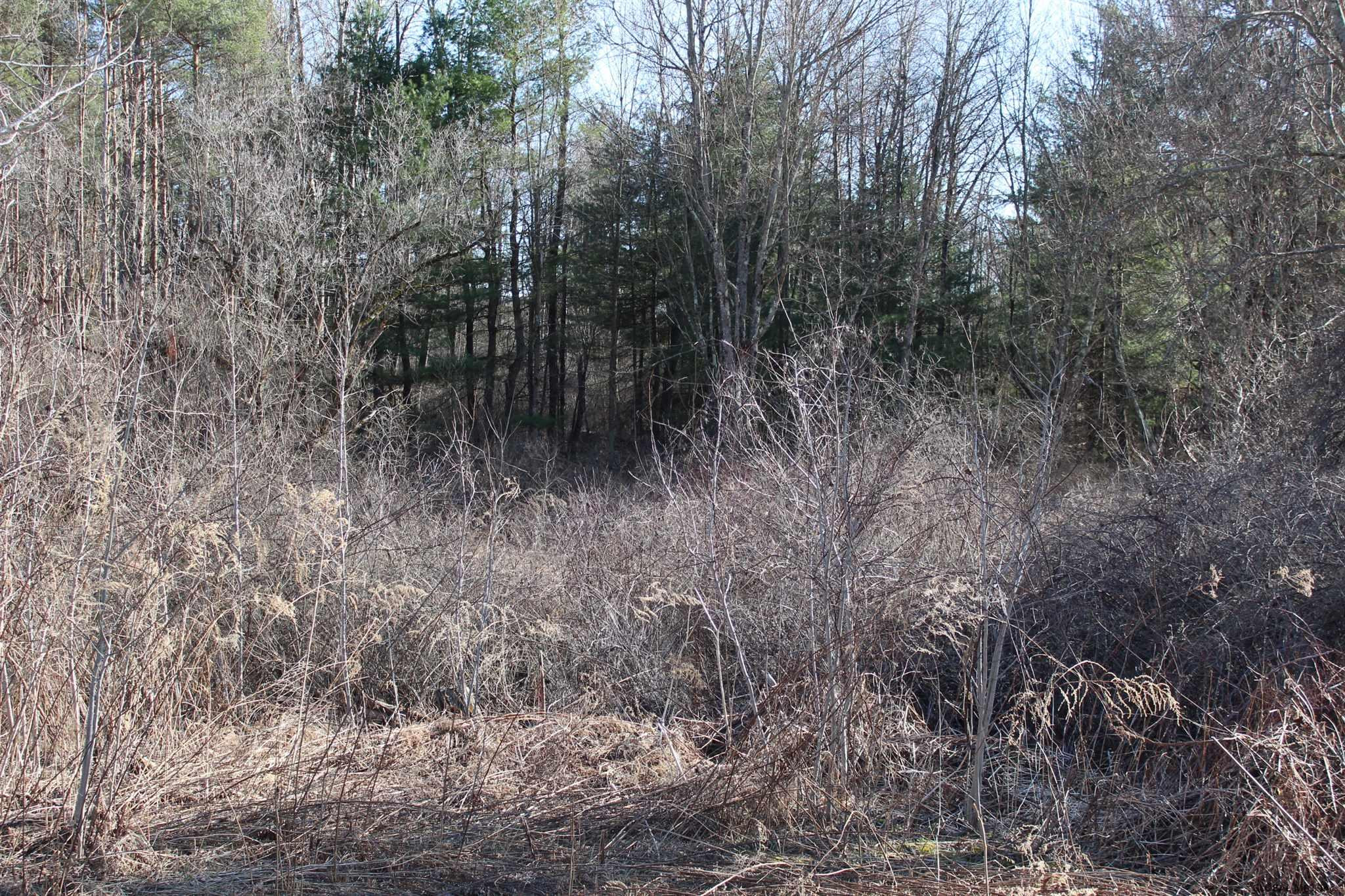 191 Stover Road Pittstown, NY 12185 - Photo 8 of 55 Photo 8