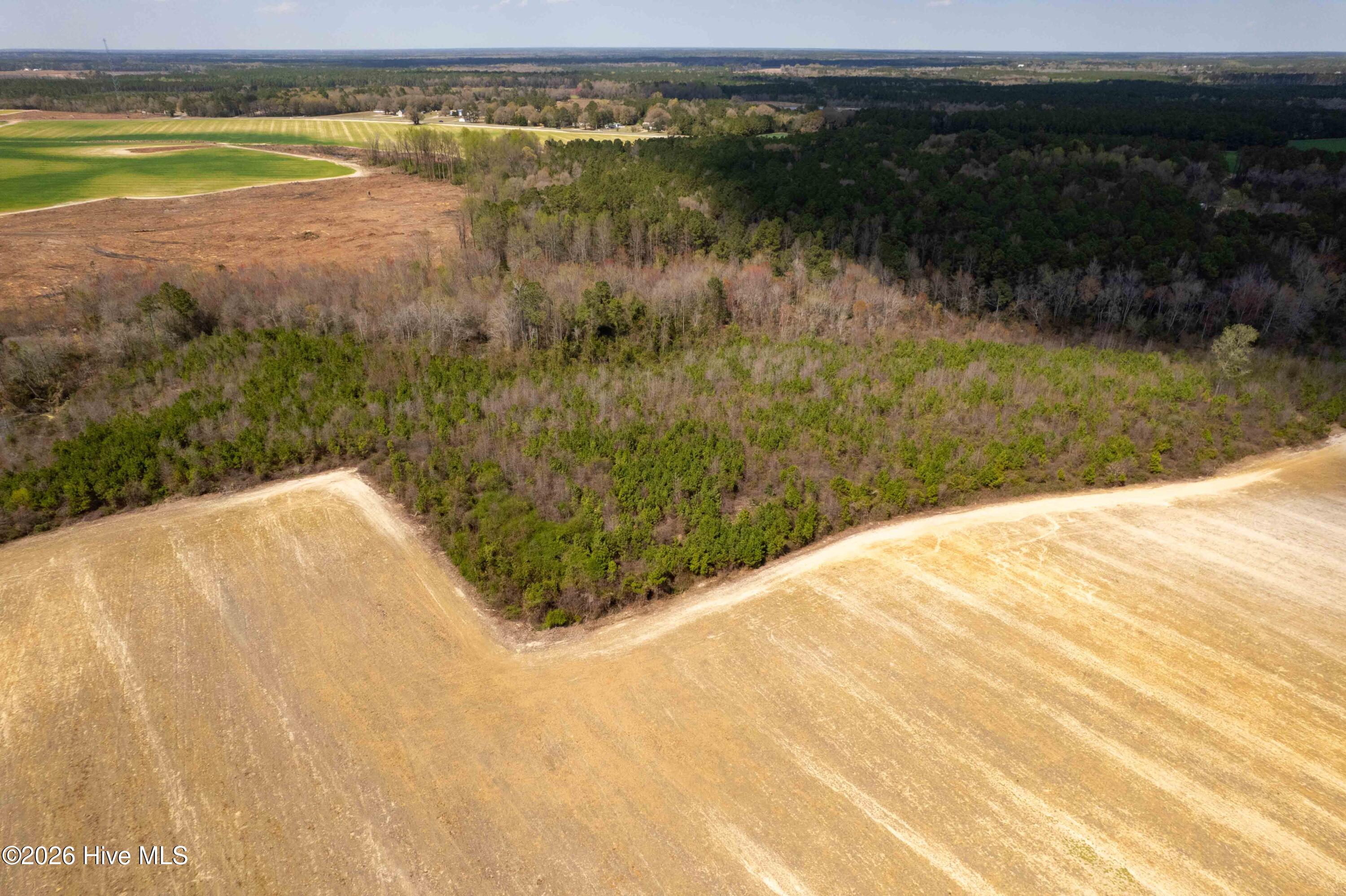 0 Devane Farm Road Harrells, NC 28444 - Photo 8 of 36