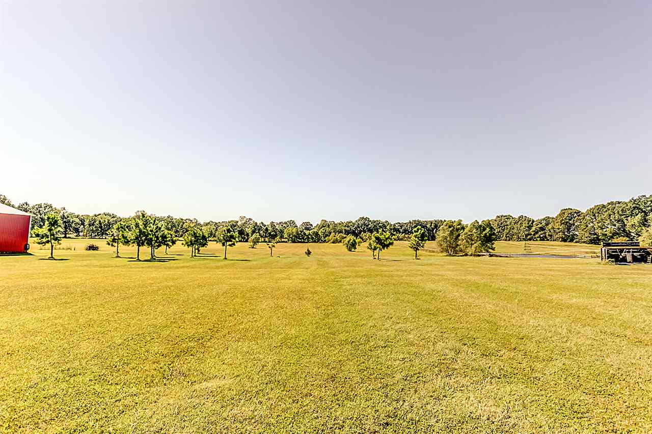 2991 Terry Lane South Road Covington, TN 38019 - Photo 10 of 25 Gallery Image 10