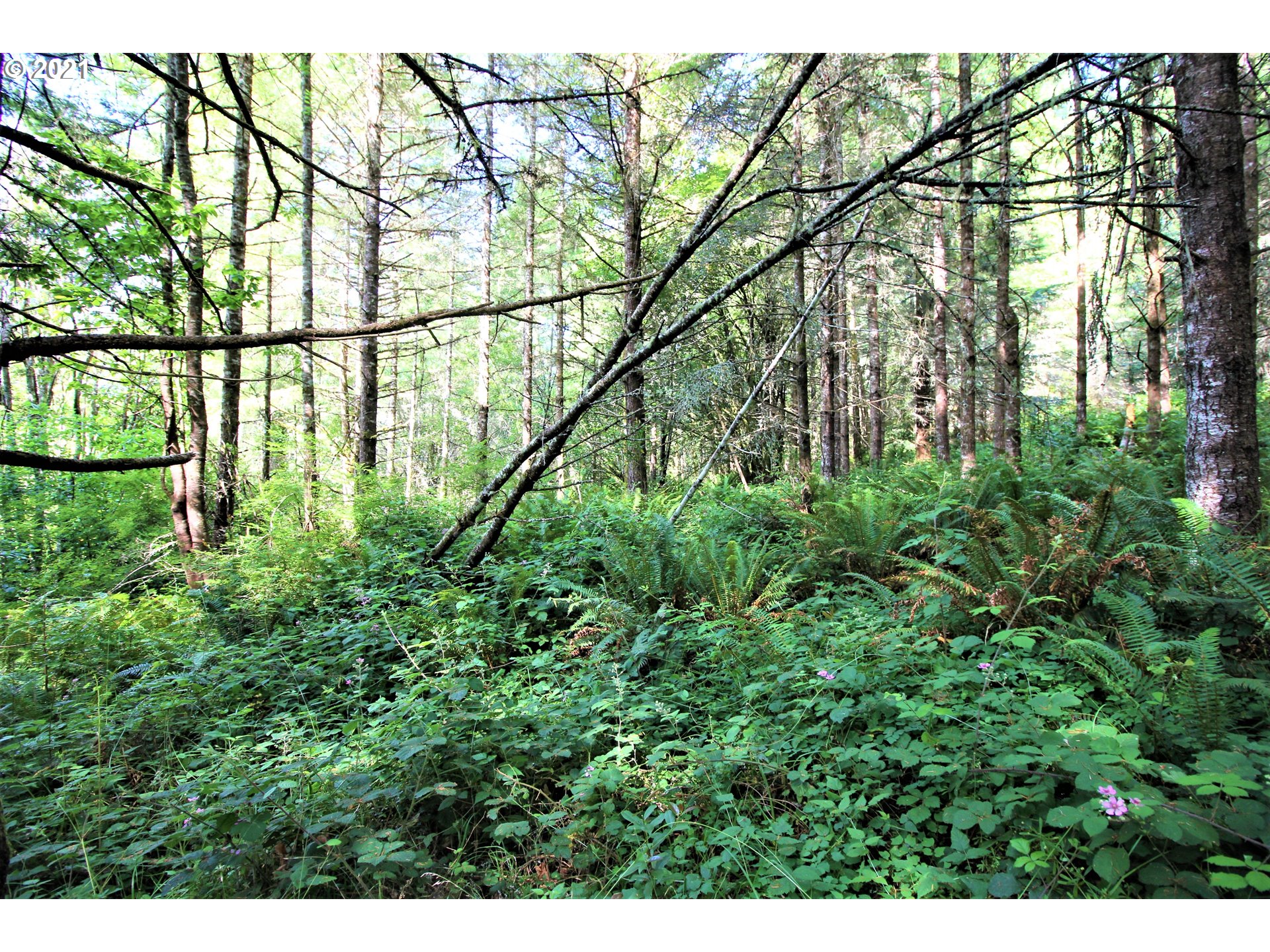 54572 Fairview Road Coquille, OR 97423 - Photo 25 of 28 Gallery Image 25