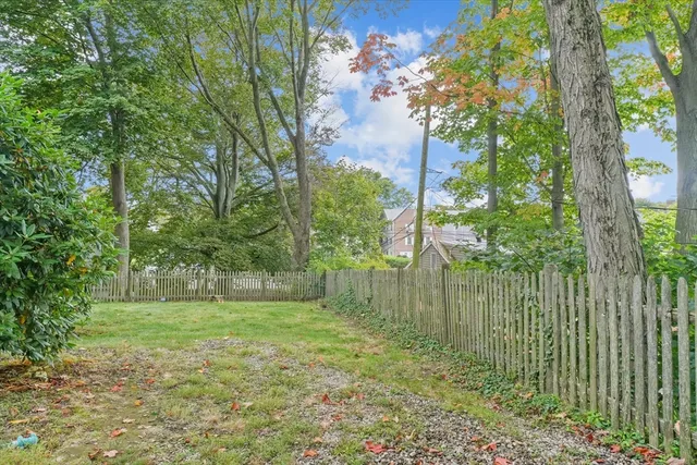 a view of a park with a tree