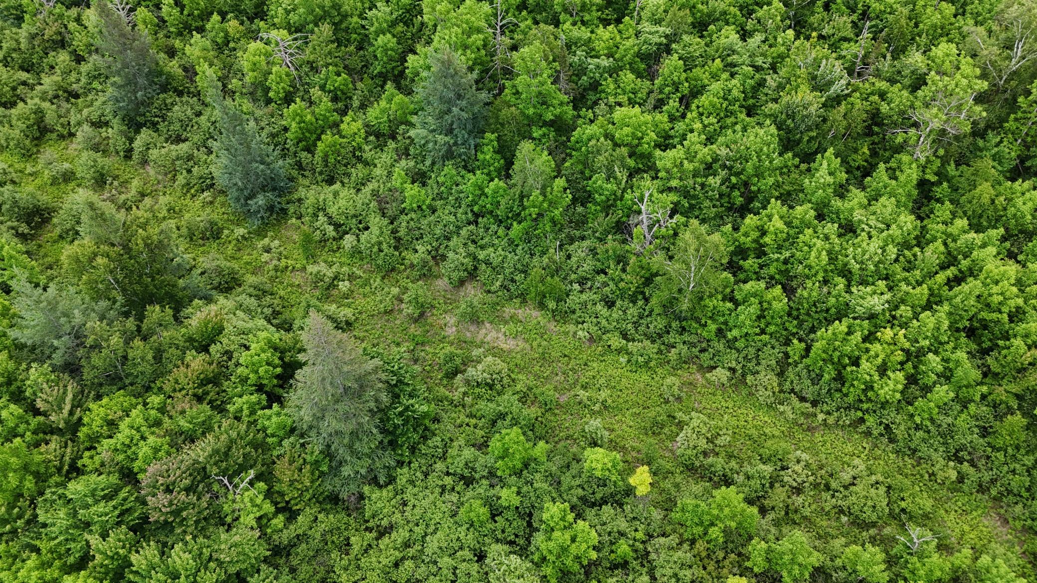 11840 Rice Haven Road Floodwood, MN 55736 - Photo 12 of 27