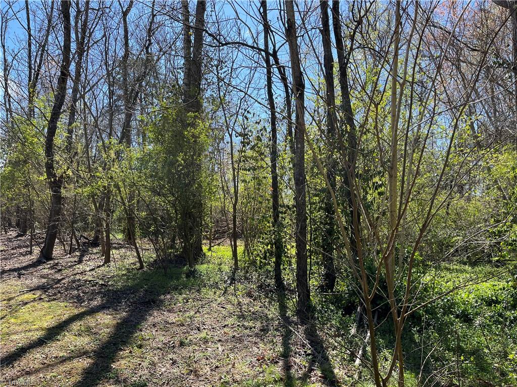 0 Myer Road Reidsville, NC 27320 - Photo 11 of 15