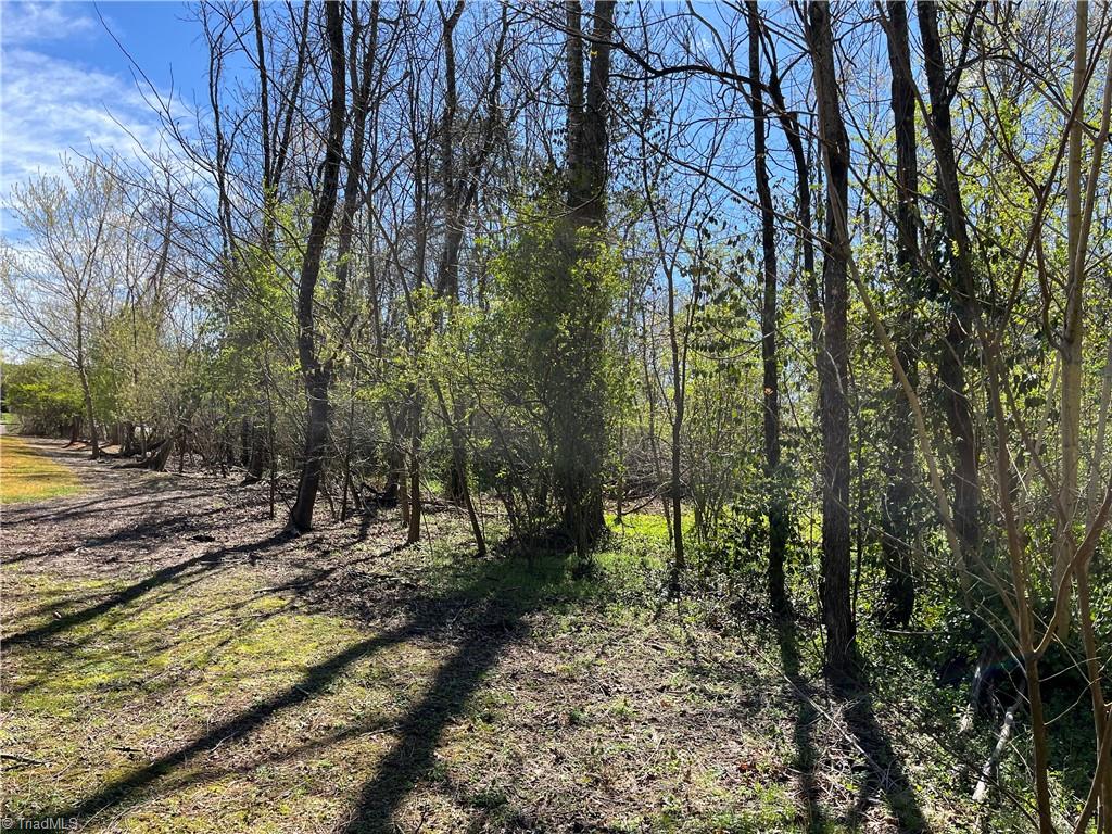 0 Myer Road Reidsville, NC 27320 - Photo 12 of 15