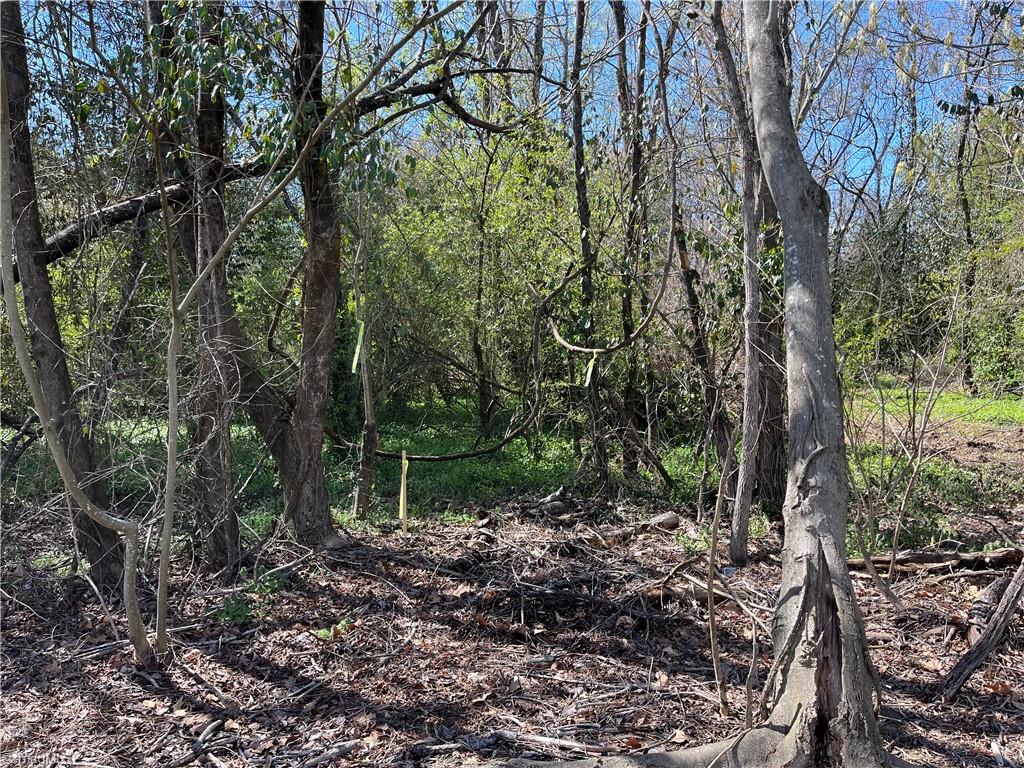 0 Myer Road Reidsville, NC 27320 - Photo 14 of 15