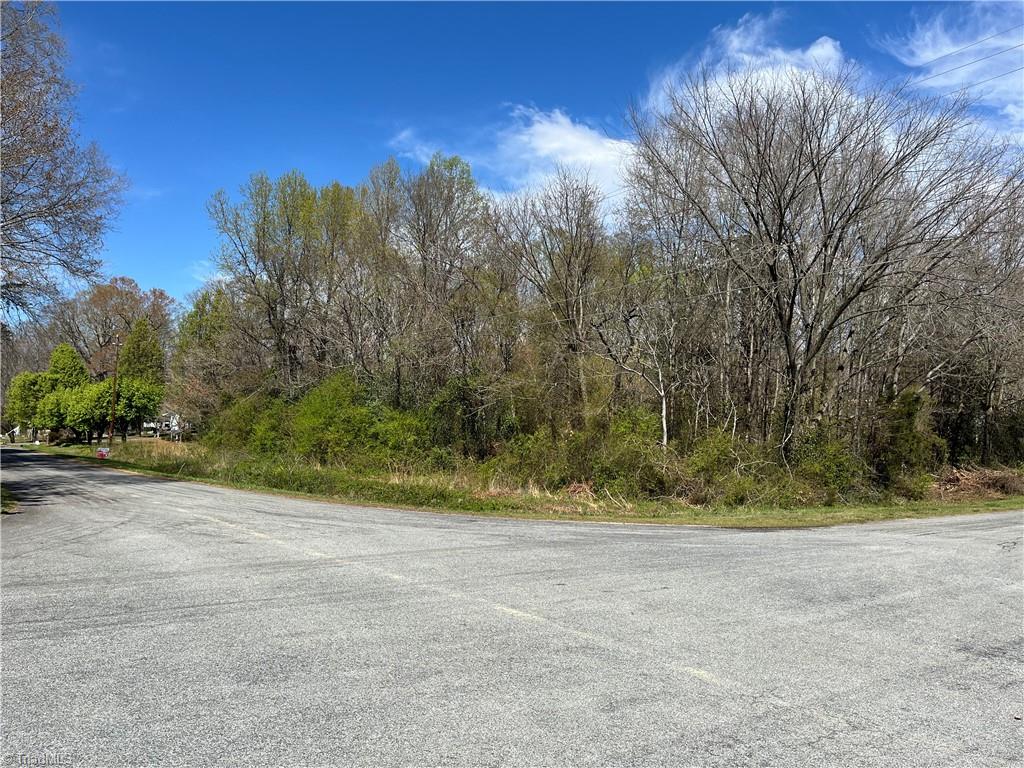 0 Myer Road Reidsville, NC 27320 - Photo 4 of 15