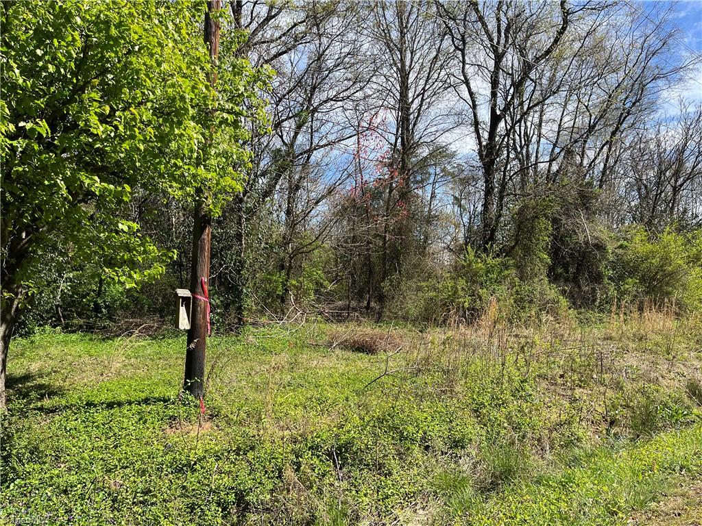 0 Myer Road Reidsville, NC 27320 - Photo 5 of 15