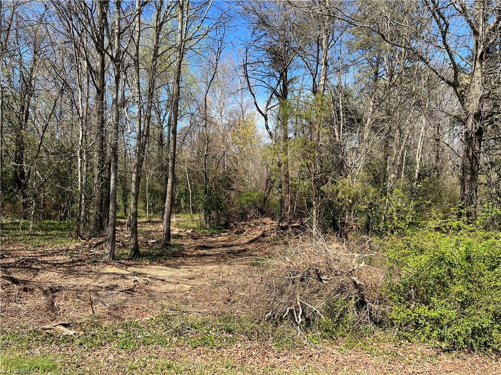 0 Myer Road Reidsville, NC 27320 - Photo 8 of 15