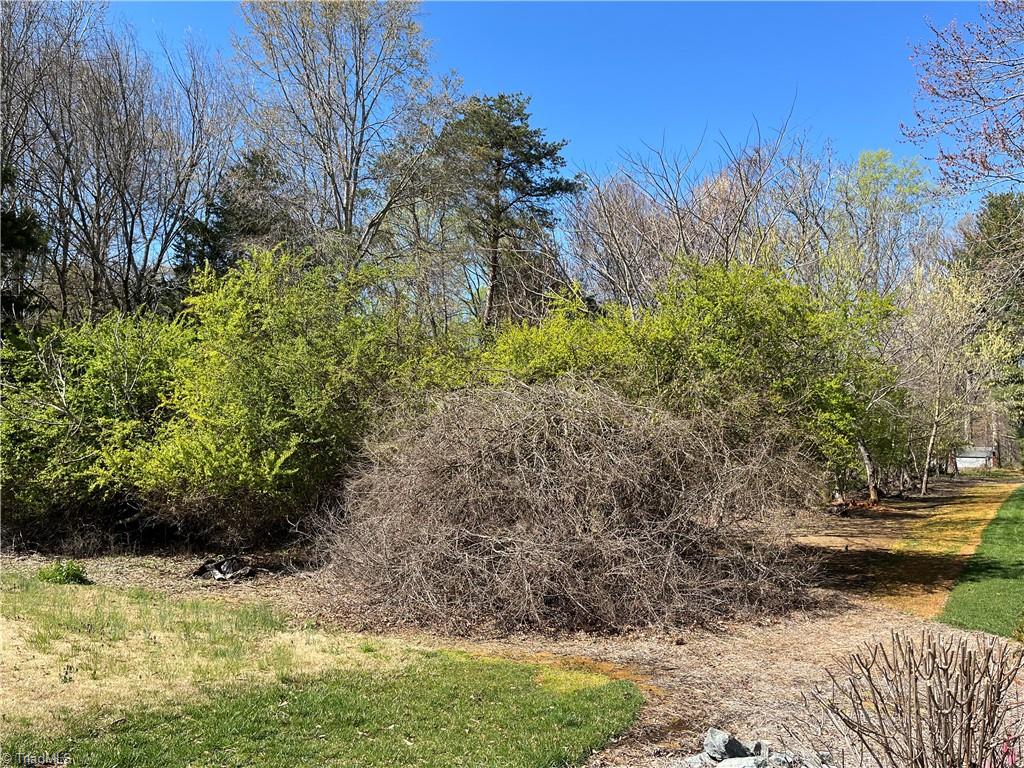 0 Myer Road Reidsville, NC 27320 - Photo 9 of 15