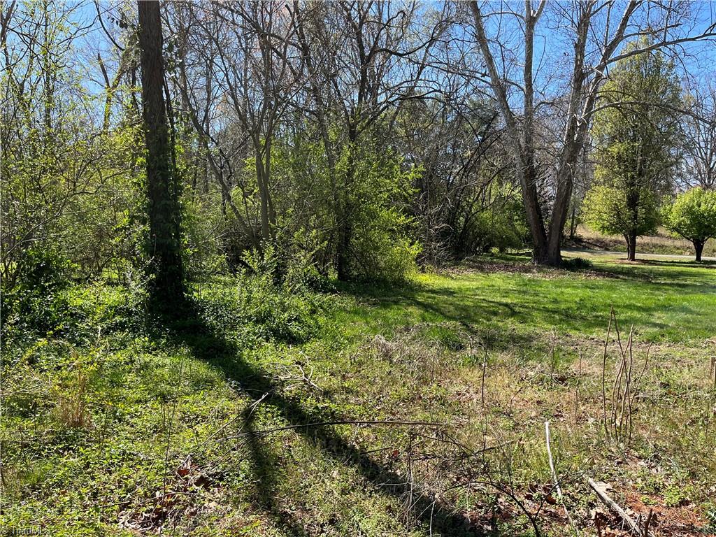 0 Myer Road Reidsville, NC 27320 - Photo 10 of 15