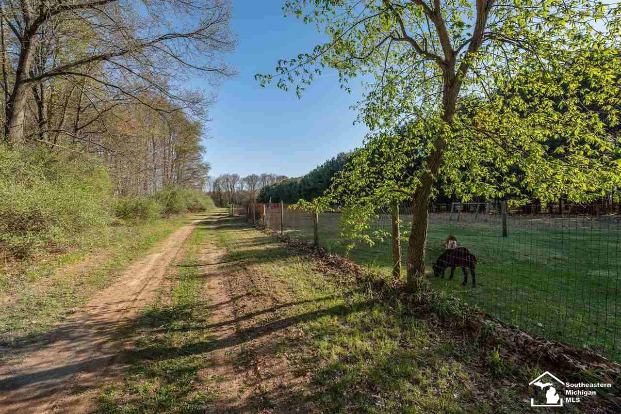 12111 Oelke Road Maybee, MI 48159 - Photo 33 of 48