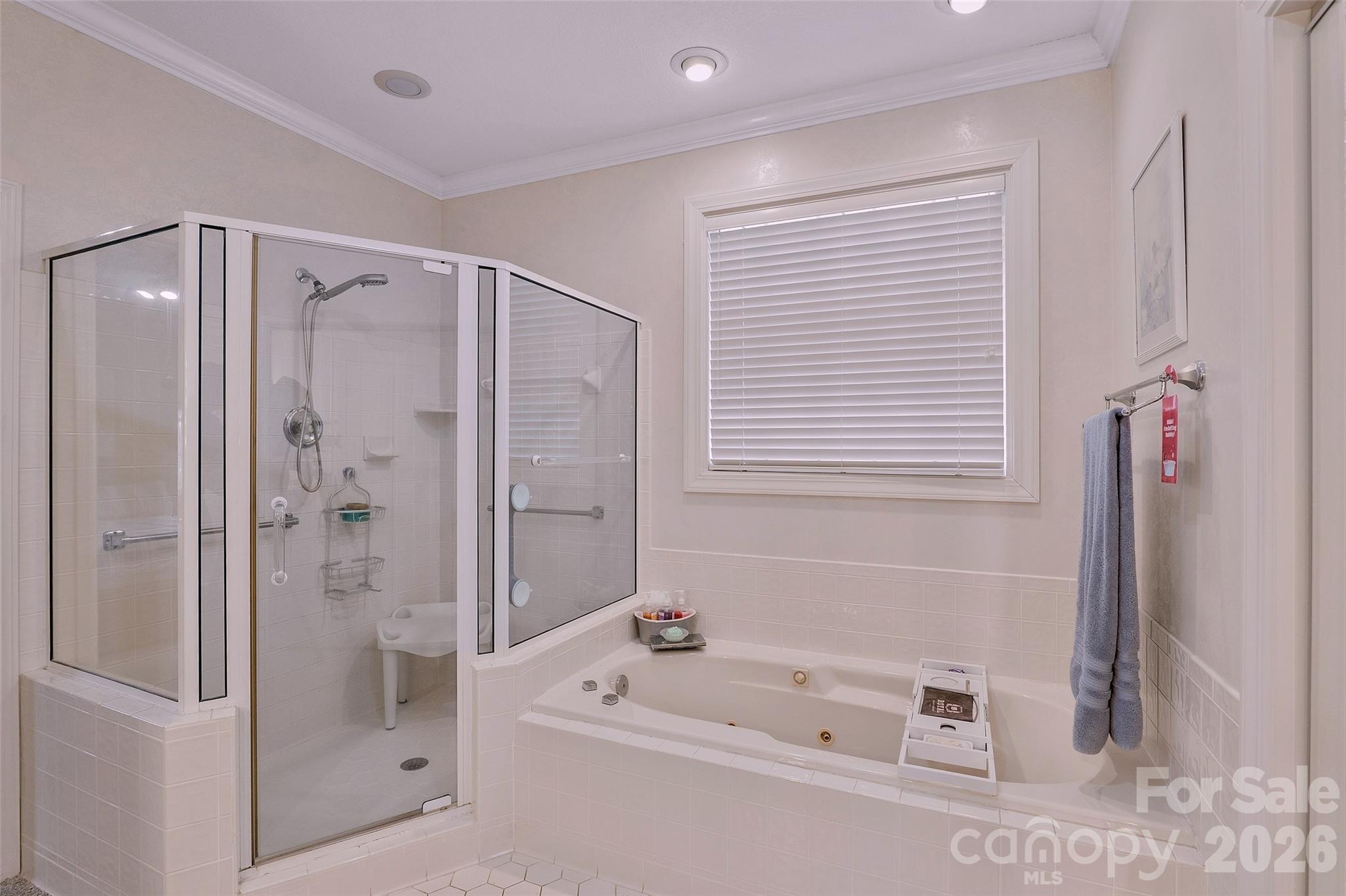 8 Ridgemont Drive Weaverville, NC 28787 - Photo 19 of 48