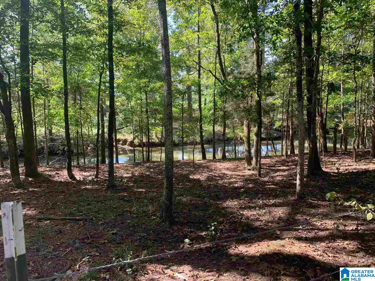 0 Embry Bend Road, Unit 1 Lincoln, AL 35096 - Photo 4 of 15