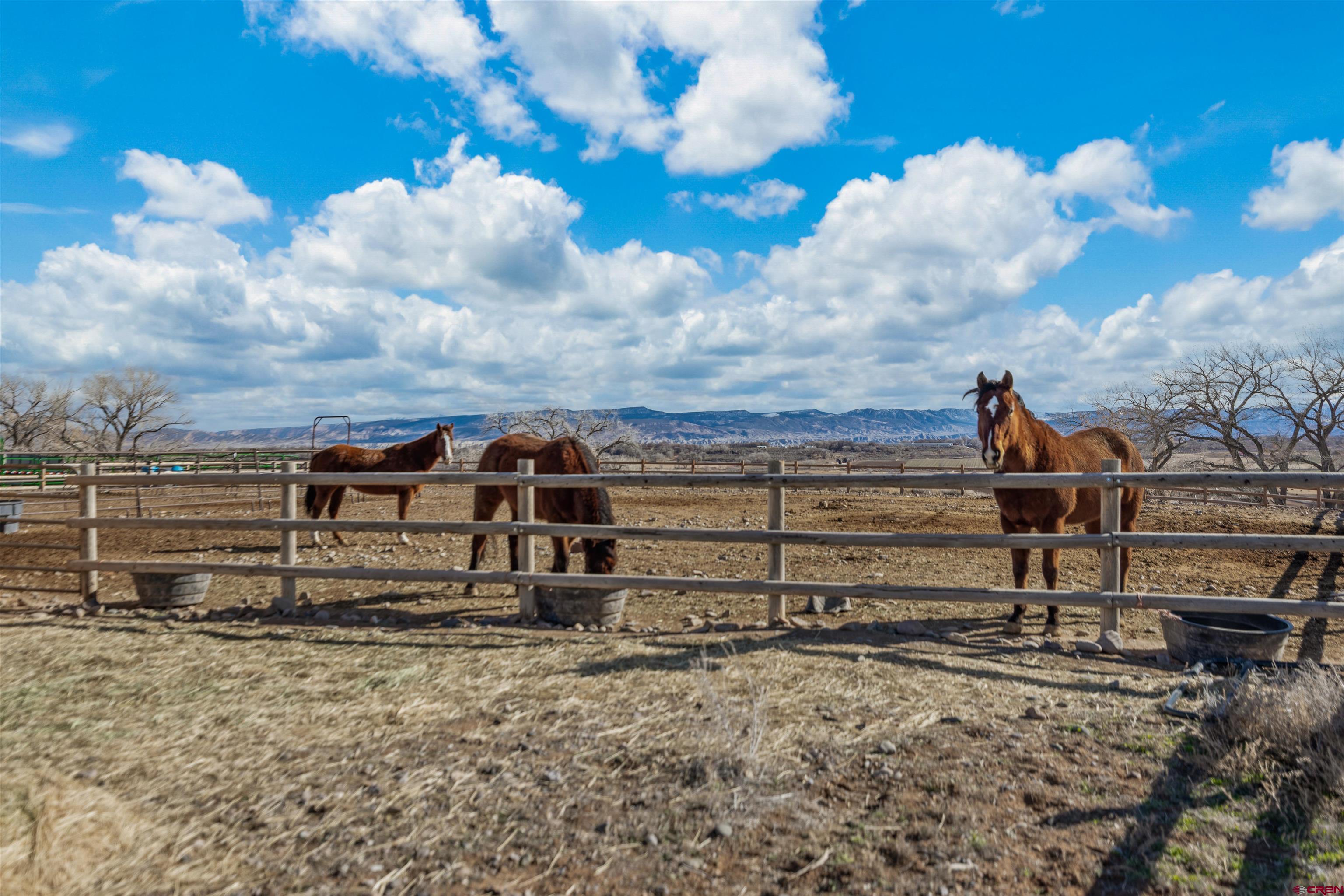 9838 5650th Road Olathe, CO 81425 - Photo 34 of 44 a view of a terrace
