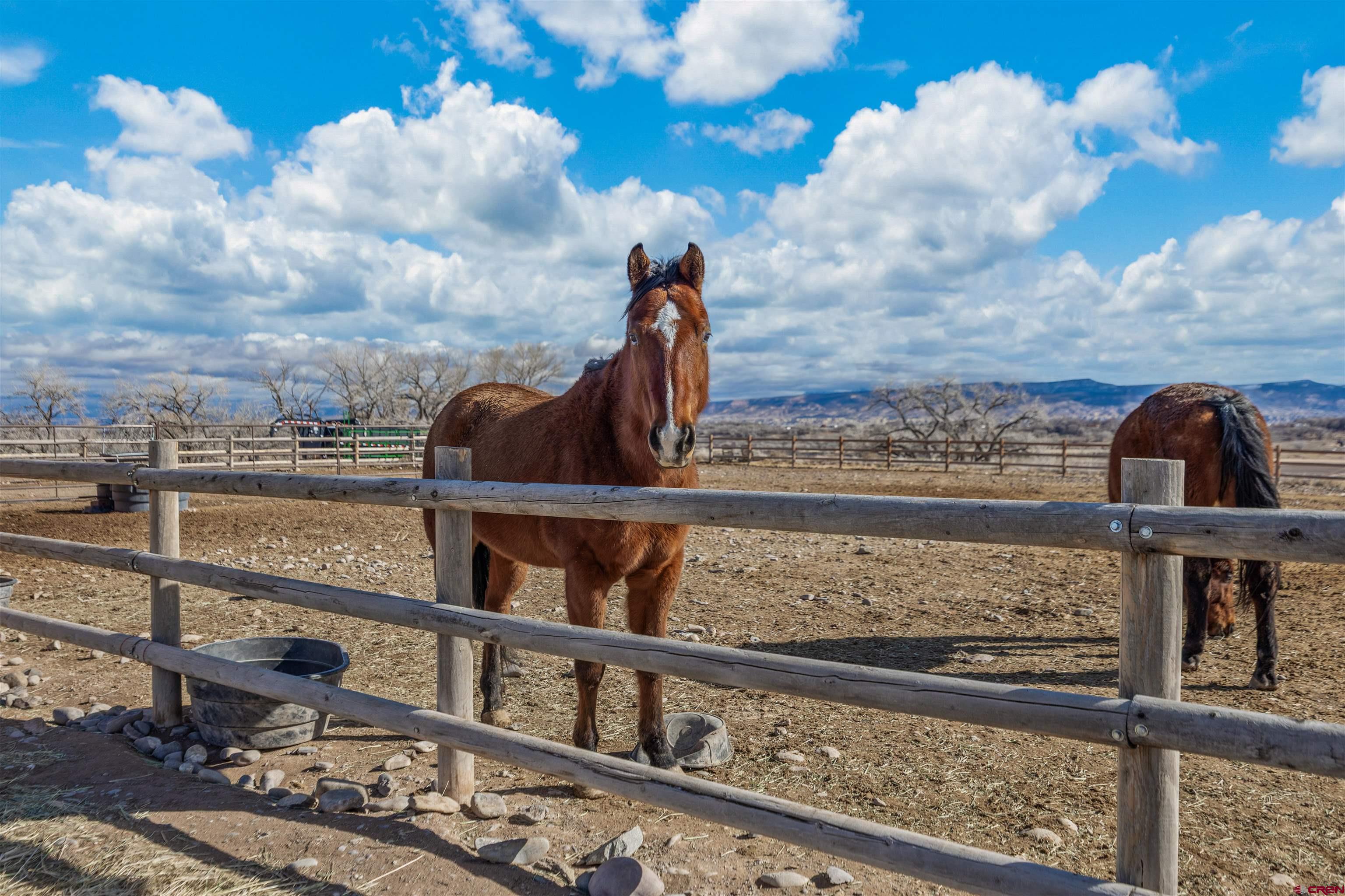 9838 5650th Road Olathe, CO 81425 - Photo 35 of 44 a view of a lake from a balcony
