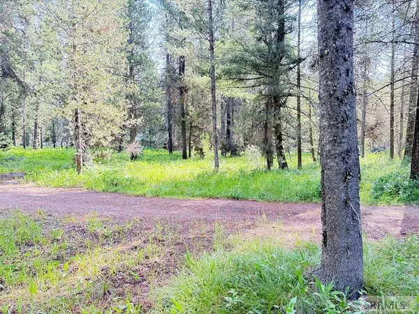 $225,000 | 3513 Hotel Creek Road, Island Park, ID 83429