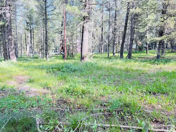 $225,000 | 3513 Hotel Creek Road, Island Park, ID 83429