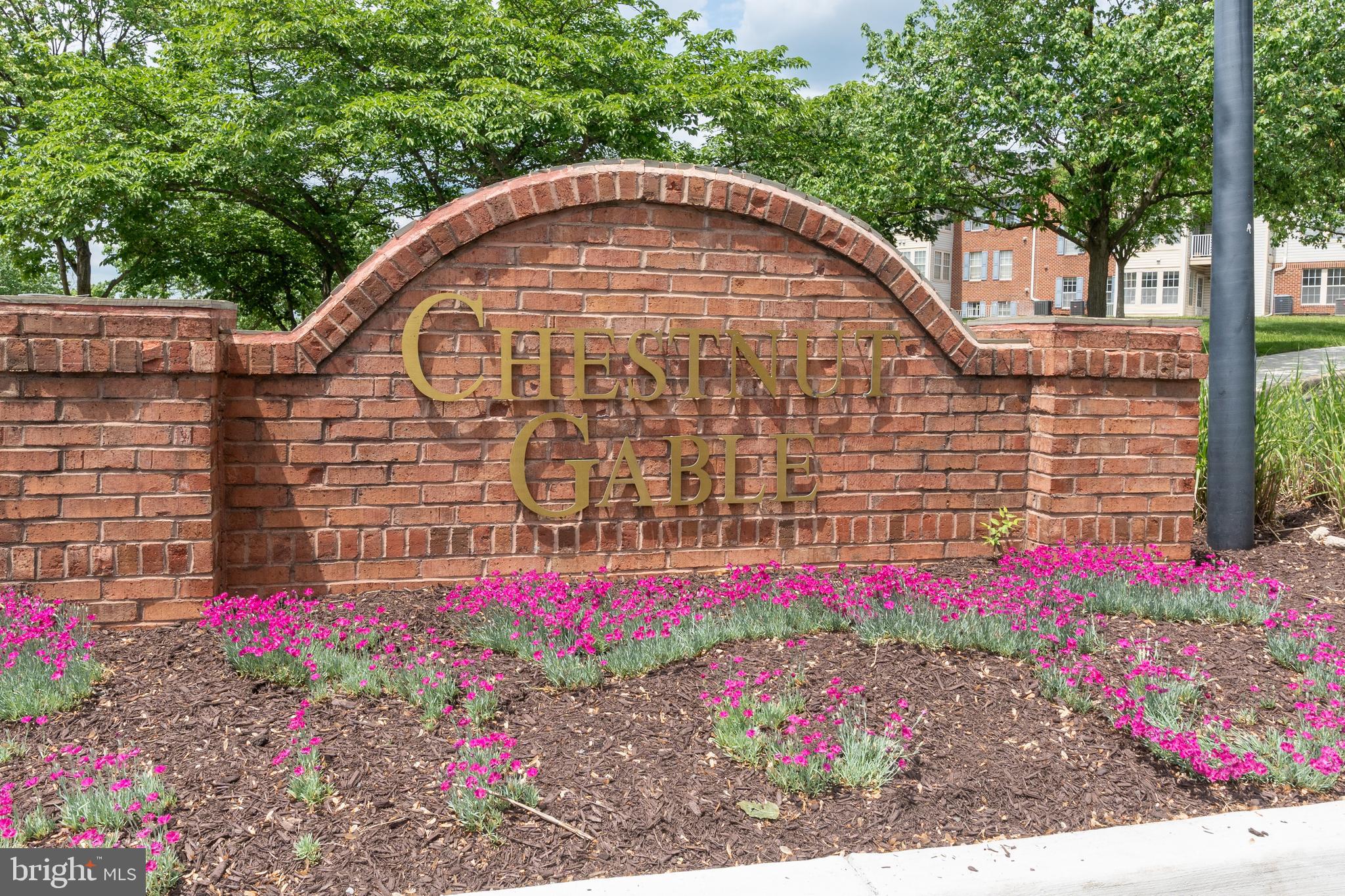 689 Winding Stream Way, Unit 101 Odenton, MD 21113 - Photo 2 of 23 a view of electric house and front view of statue