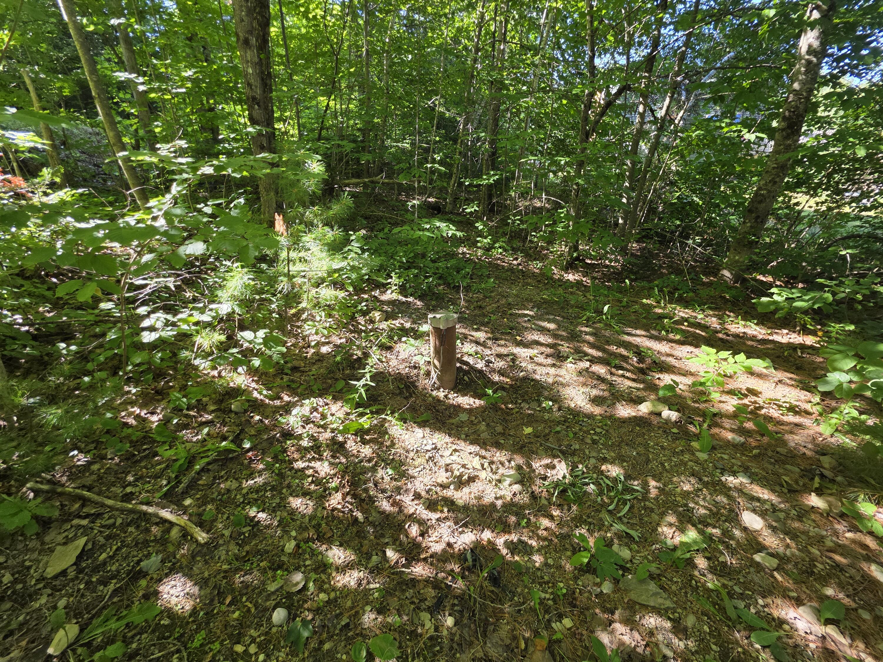 36 South Road Lee, ME 04455 - Photo 5 of 23 20250718_160703