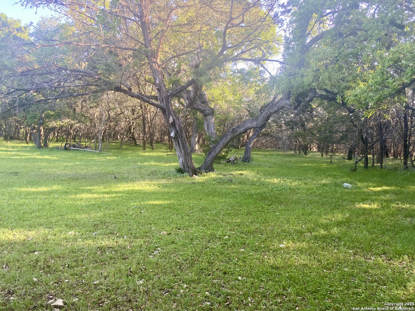 1160 Whispering Water Spring Branch, TX 78070 - Photo 5 of 19