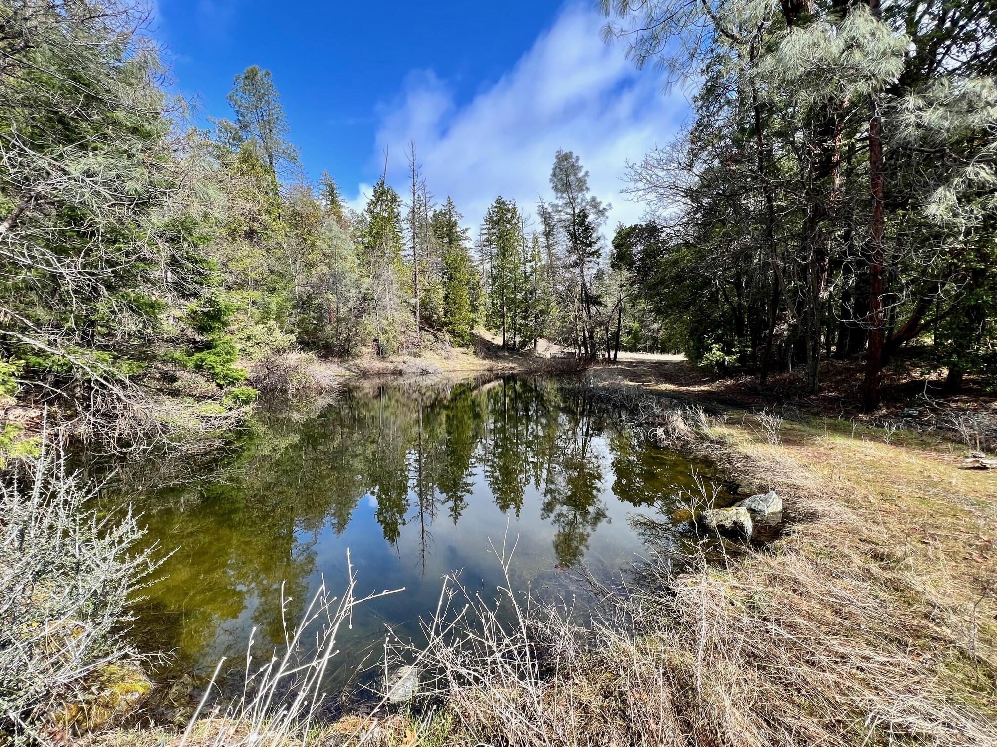 10041 Highway 299, Unit 299 Burnt Ranch, CA 95527 - Photo 5 of 44