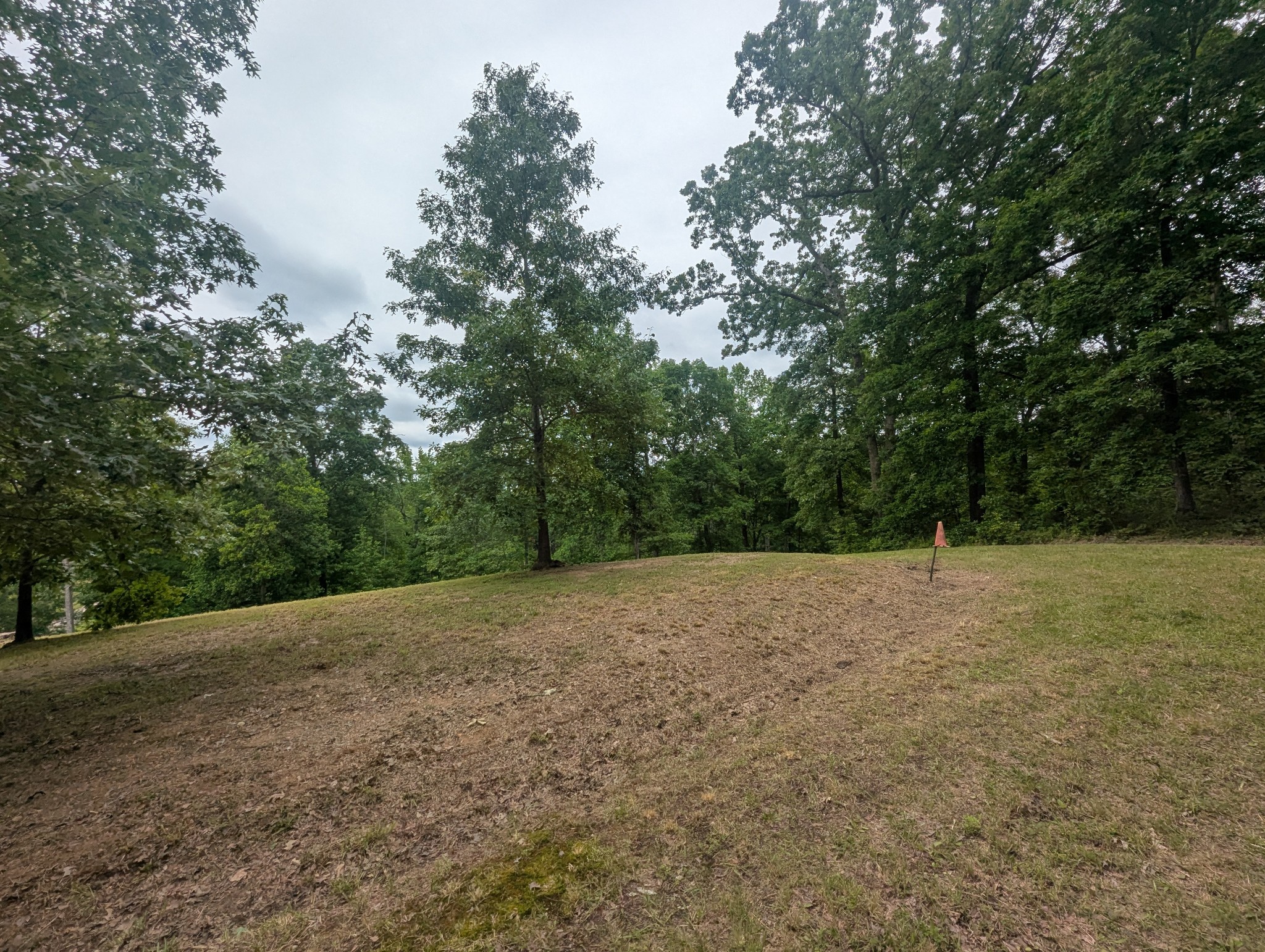 0 Partridge Point Cadiz, KY 42211 - Photo 2 of 6