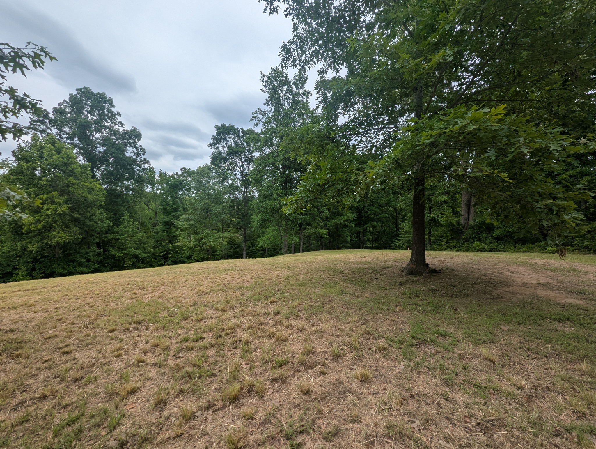 0 Partridge Point Cadiz, KY 42211 - Photo 3 of 6