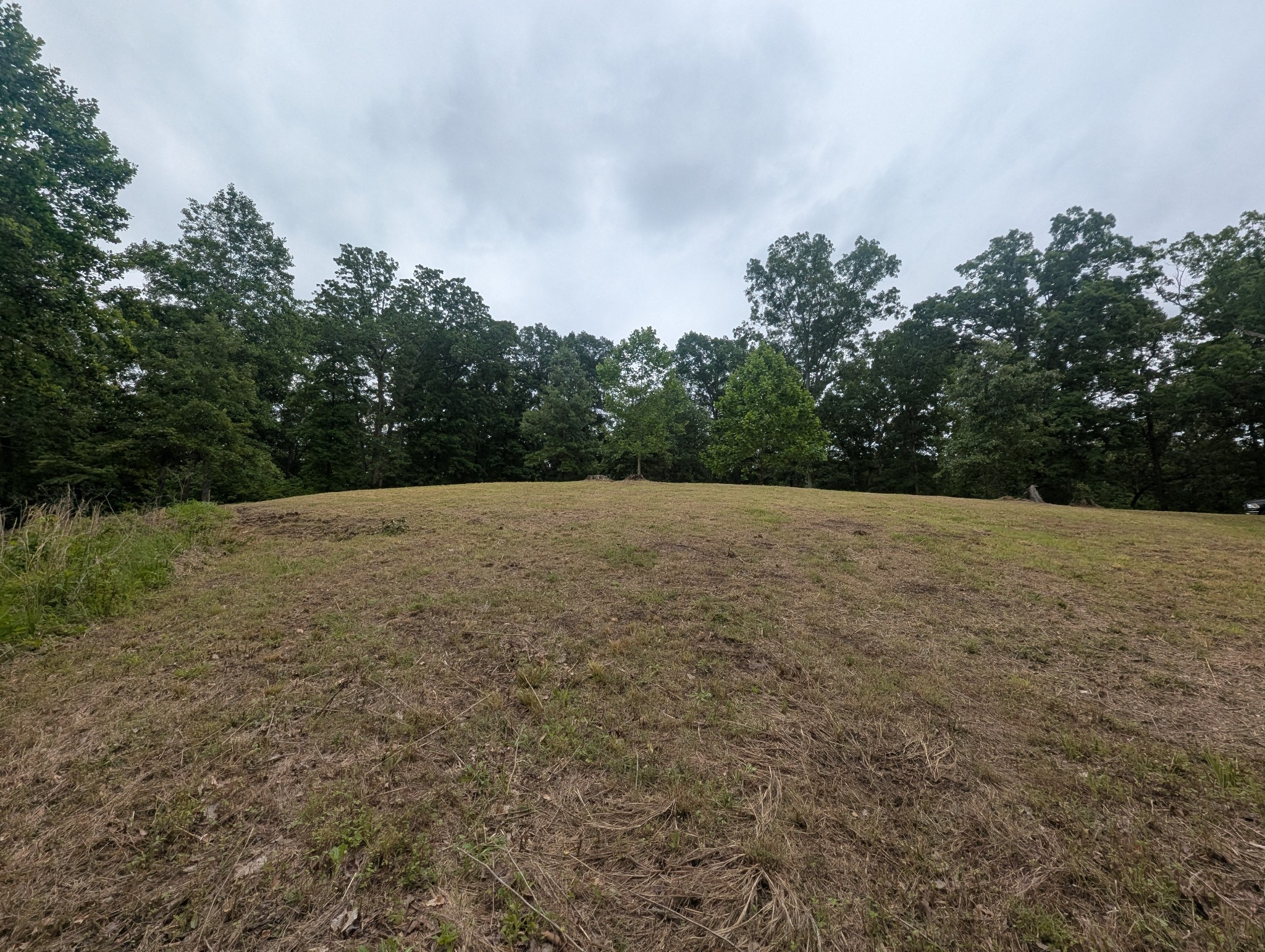 0 Partridge Point Cadiz, KY 42211 - Photo 4 of 6