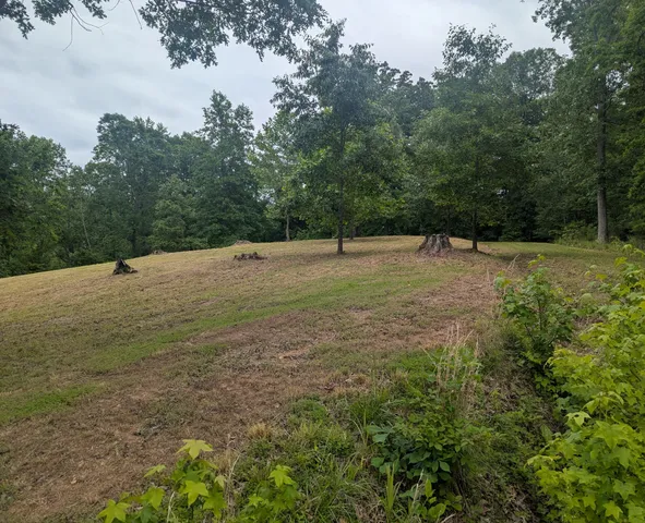 $52,000 | 0 Partridge Point, Cadiz, KY 42211