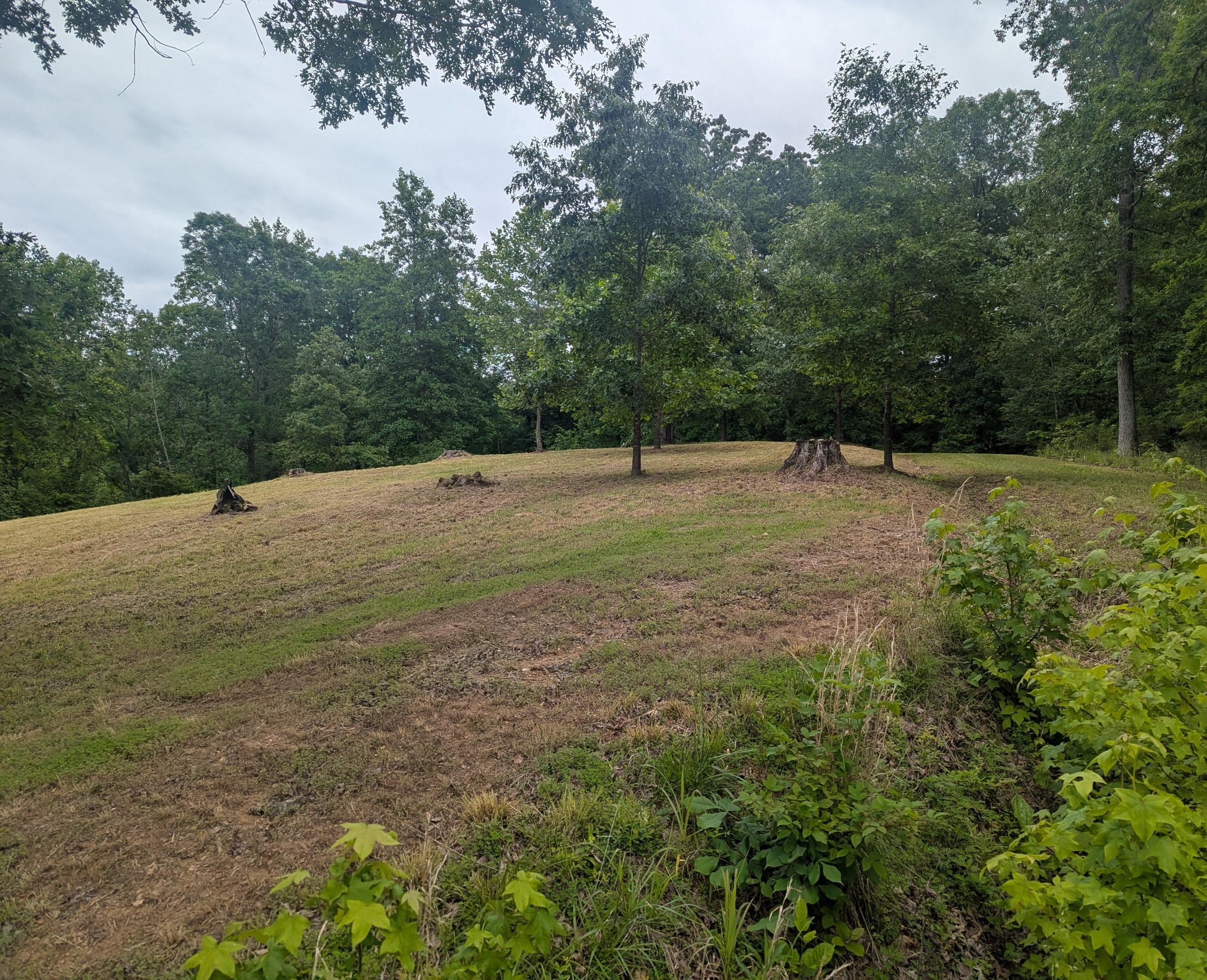 0 Partridge Point Cadiz, KY 42211 - Photo 5 of 6