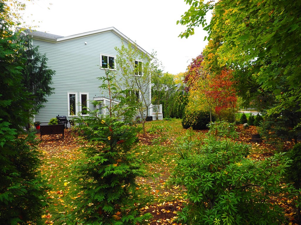 9 York Road Newton, MA 02468 - Photo 35 of 41 a yellow house with lots of trees