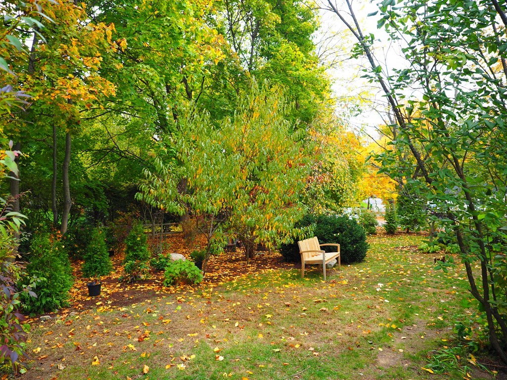 9 York Road Newton, MA 02468 - Photo 36 of 41 a view of a garden with chairs