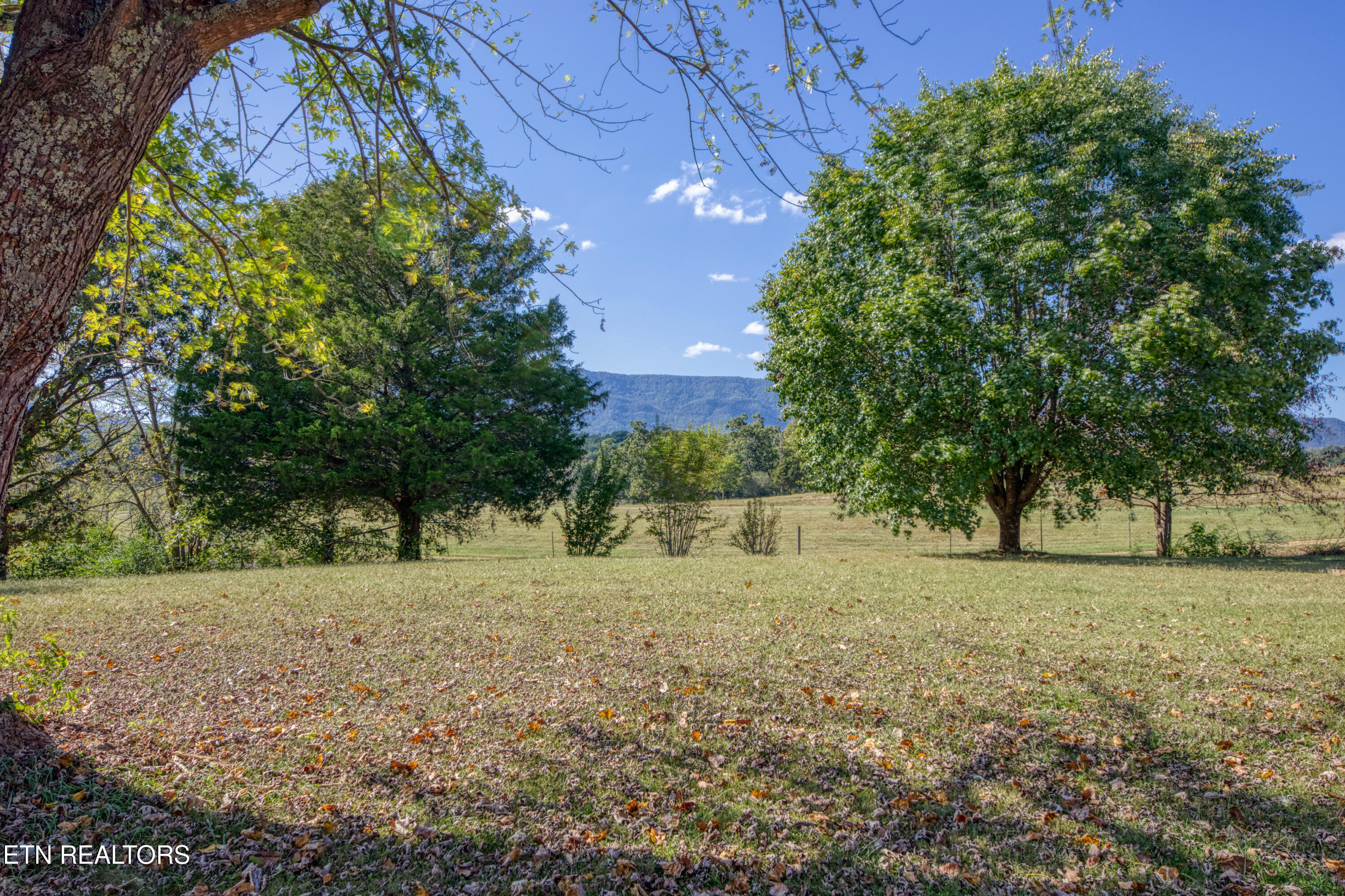 2720 Early Road Newport, TN 37821 - Photo 55 of 56 0H3A5308_52