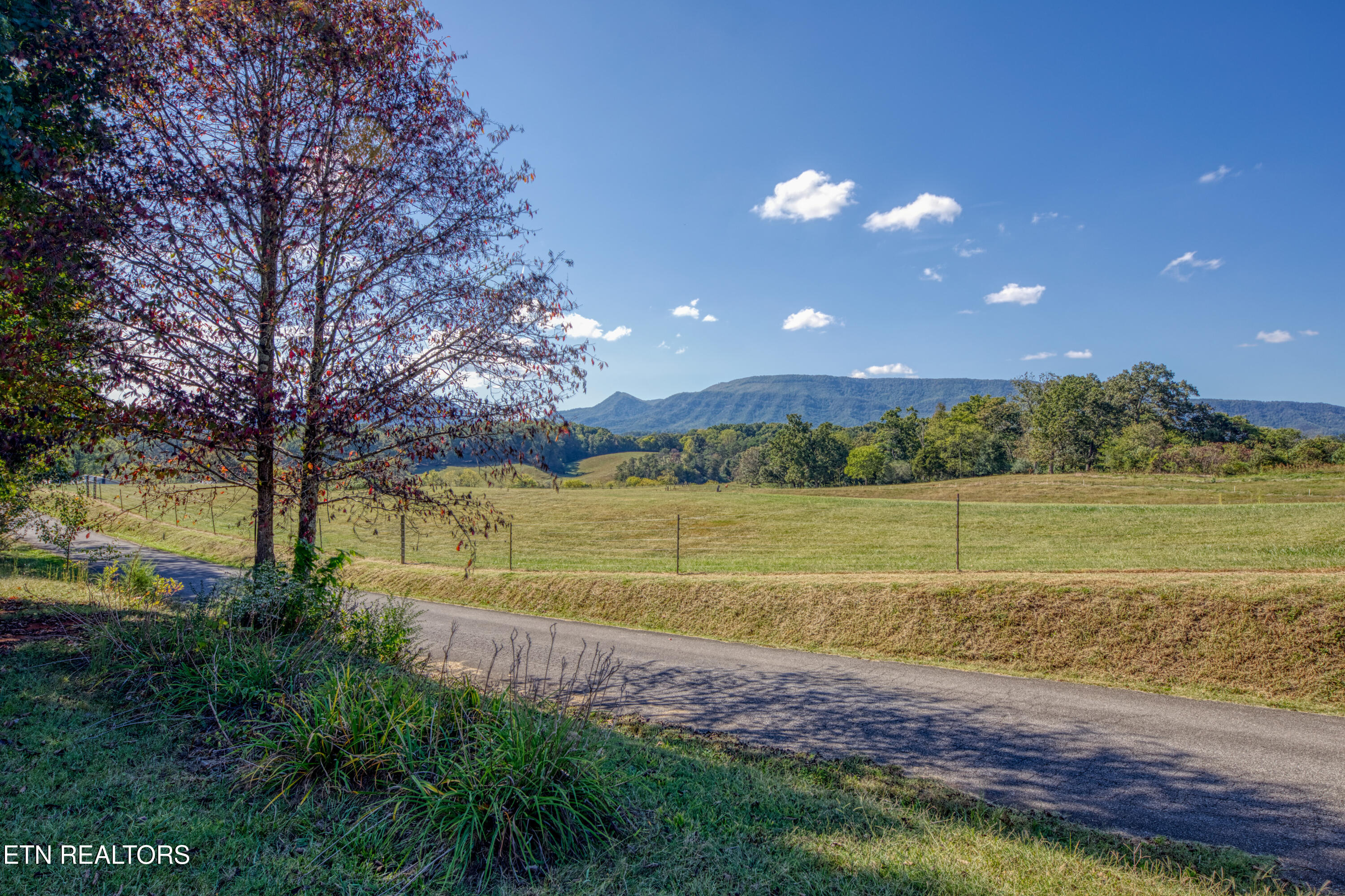 2720 Early Road Newport, TN 37821 - Photo 56 of 56 0H3A5267_39